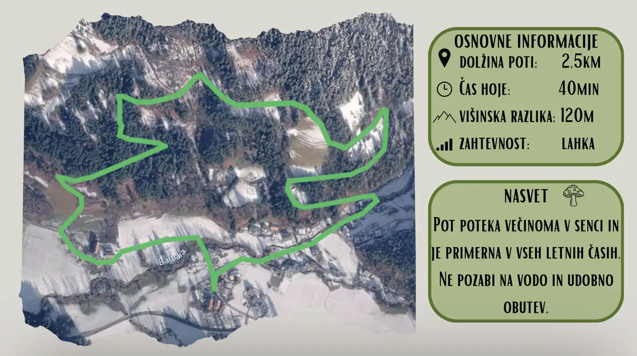 gozdne poti okoli slovenj gradca - mali krog
