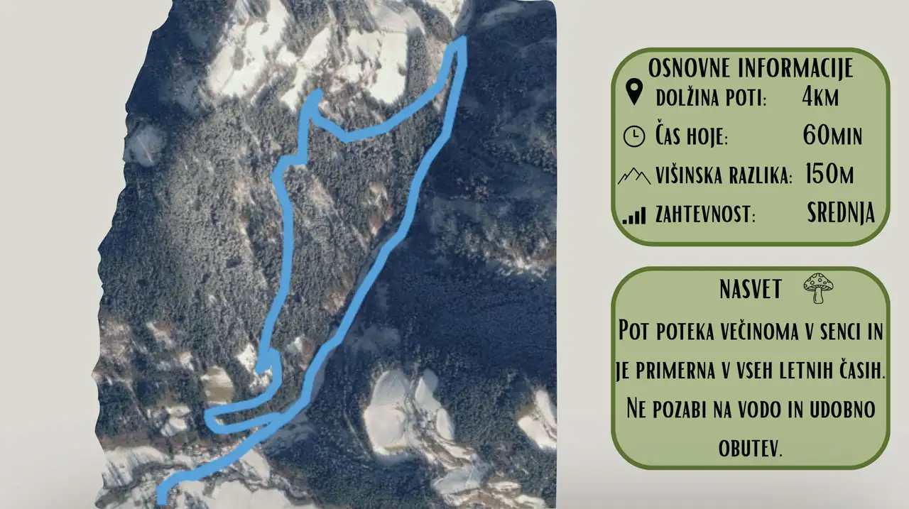 gozdne poti okoli slovenj gradca - srednji krog
