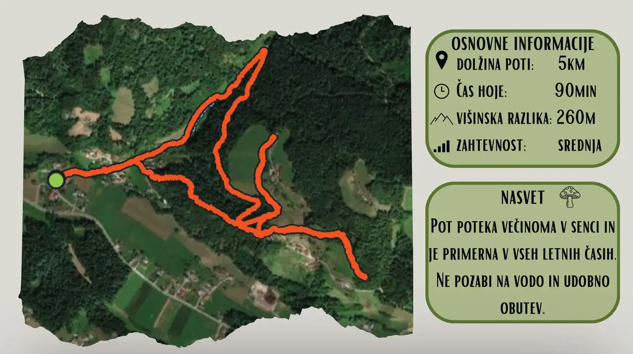 gozdne poti okoli slovenj gradca - velik krog